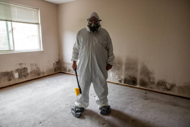 Best Industrial Mold Remediation in USA